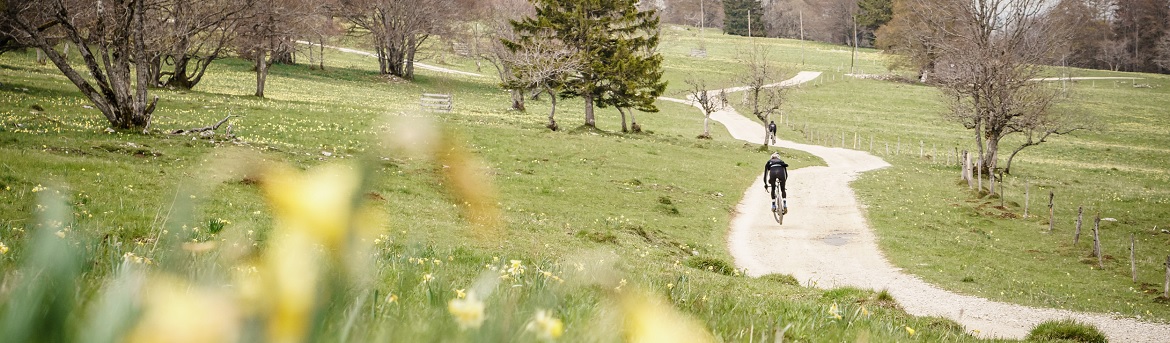 Blogue Open Blogue Open